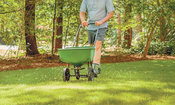 Spring Lawn Maintenance Keys for Success